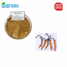 SOST Chinese Supply Cordyceps Sinensis Extract Powder for Anti-cancer